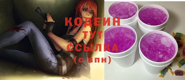 индика Беломорск
