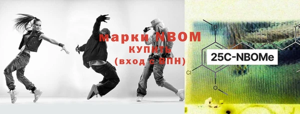 индика Беломорск