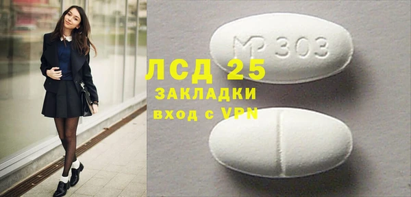 индика Беломорск