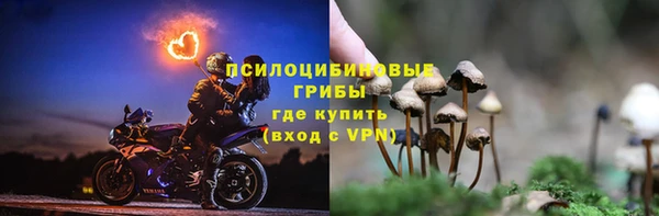 МДМА Белокуриха