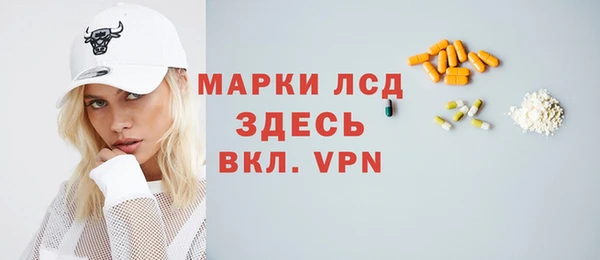 индика Беломорск