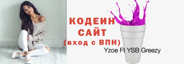 индика Беломорск