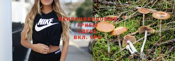 индика Беломорск