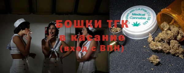 индика Беломорск