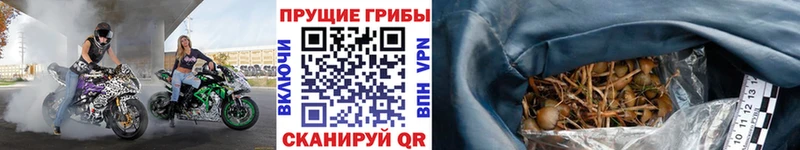 Псилоцибиновые грибы мухоморы  Купить закладки  Алупка 